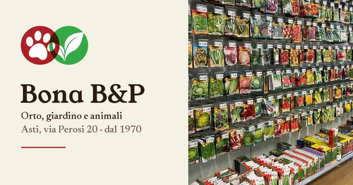 L&rsquo;anteprima del sito di Bona B&P
