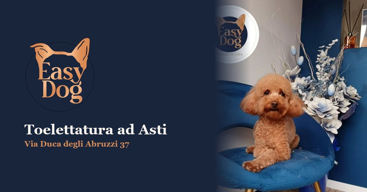 L'anteprima del sito di Easy Dog