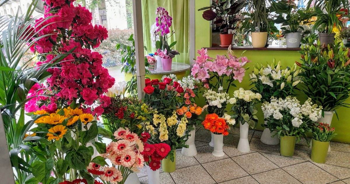 L&rsquo;anteprima del sito di Greco Fiori