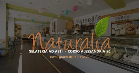 L'anteprima del sito di Gelateria Naturalia