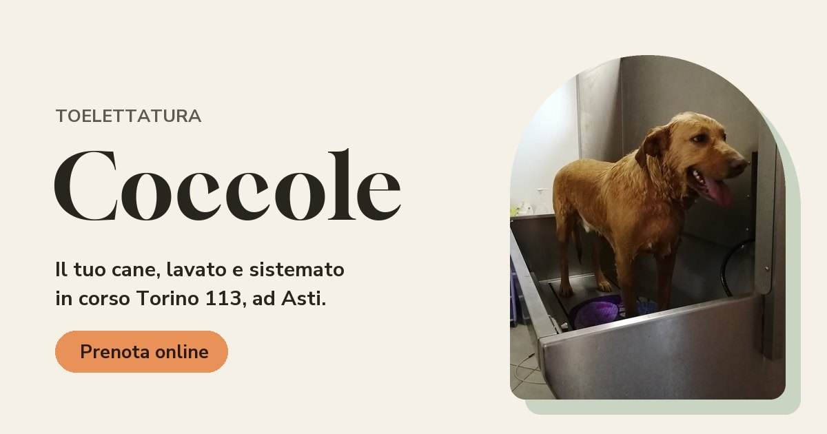 L&rsquo;anteprima del sito di Toelettatura Coccole