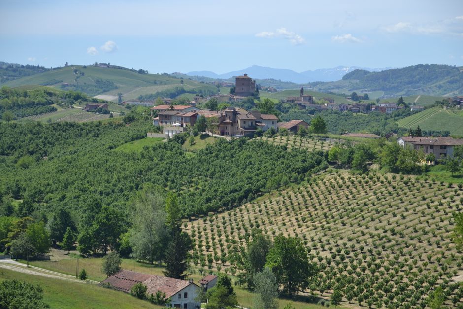 Paesaggio collinare del Monferrato astigiano intorno a Cascina Rosalia
