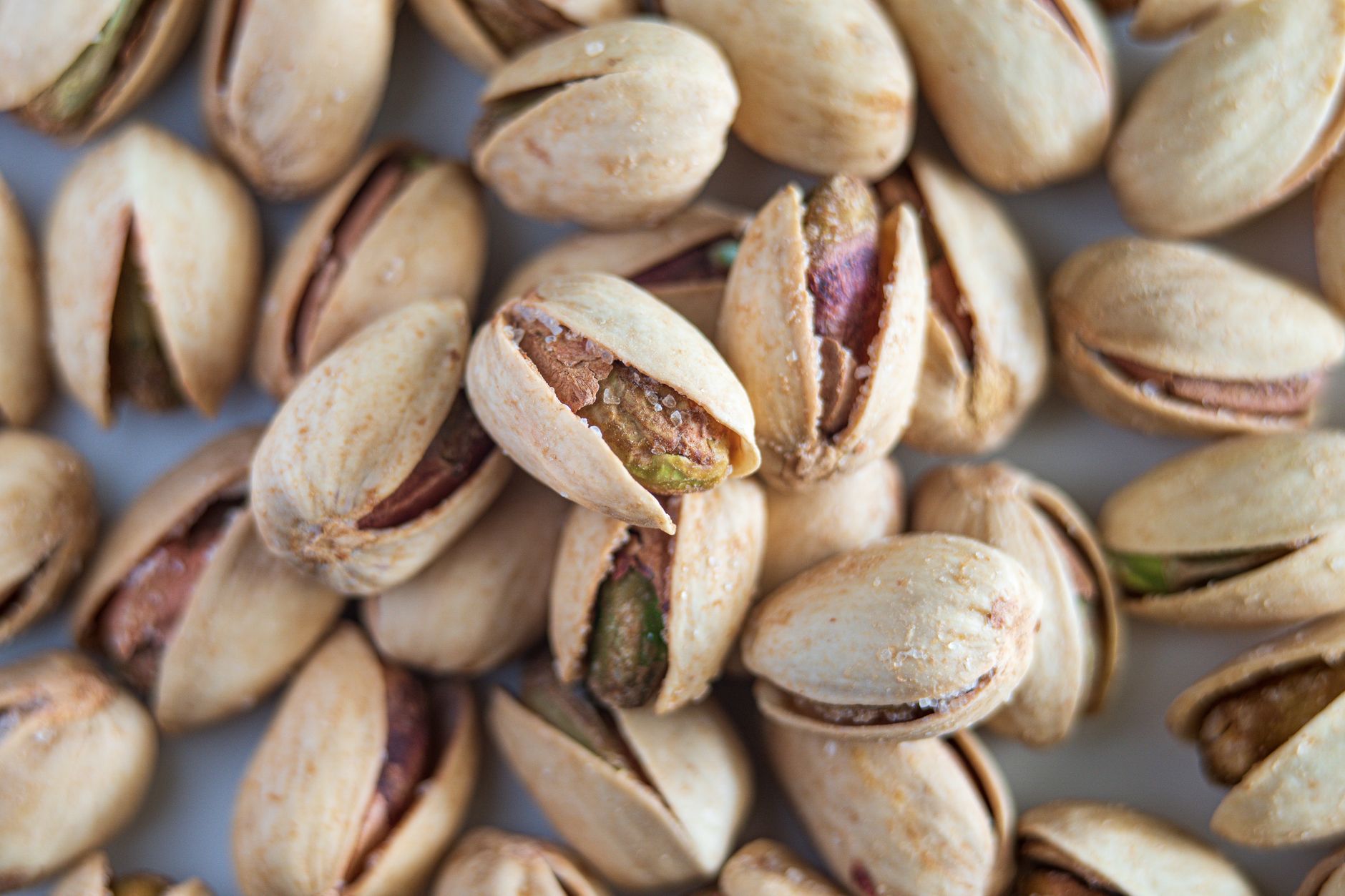 Pistacchi in guscio, materia prima del gelato